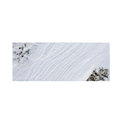 Trademark Fine Art Kurt Shaffer 'Snowscape Abstract' Canvas Art, 6x19 KS128-C619GG